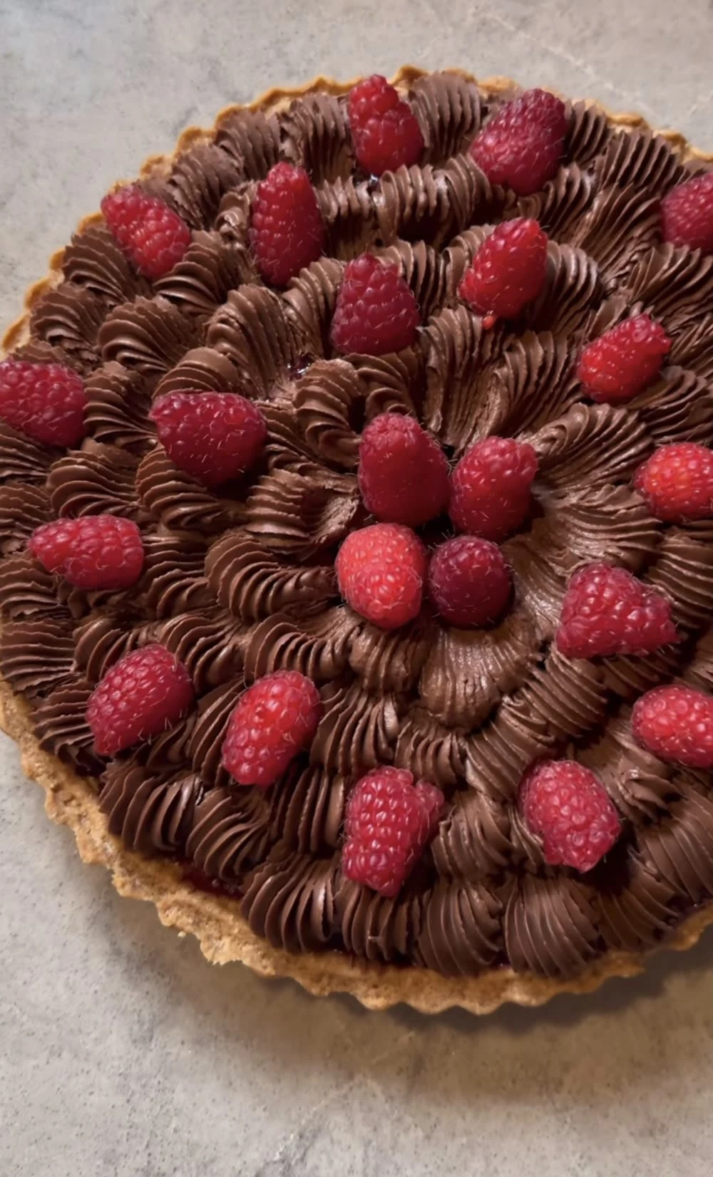 Chocolate and raspberry tart